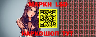 стаф Донецк