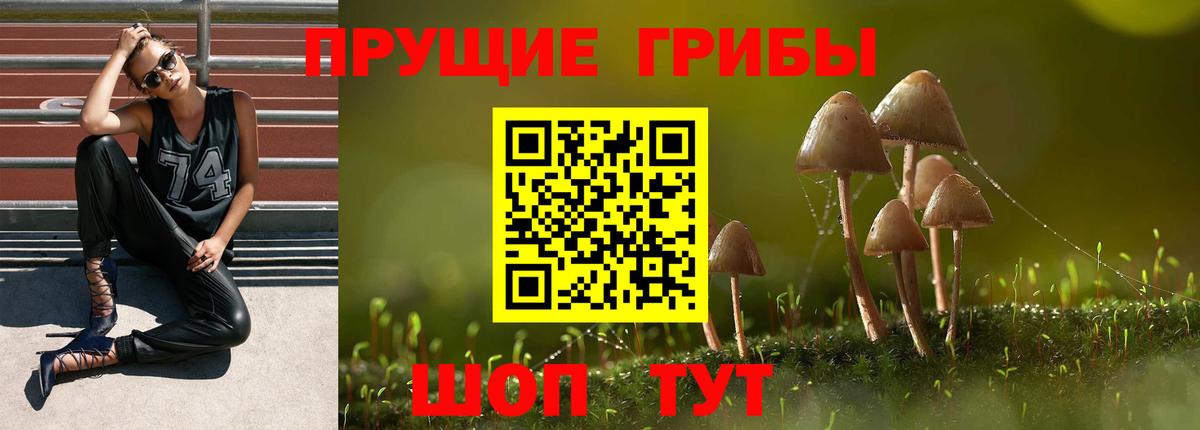 где купить наркоту  Вход с VPN  Ирбит  Галлюциногенные грибы MAGIC MUSHROOMS 